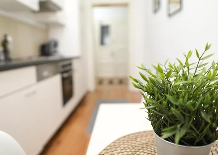 Homy I Altbaucharme Netflix Und Wlan Leipzig